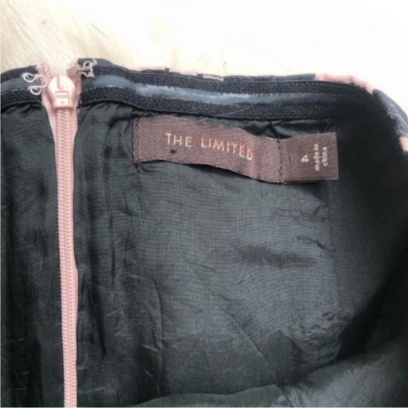 The Limited Champagne Bubbles Dress - Picture 2 of 5